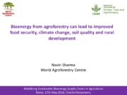 Bioenergy from agroforestry can lead to improved food security, climate change, soil quality and rural development