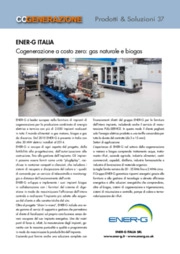 Biogas, Cogenerazione, Discarica, Energia elettrica, Gas naturale, Metano