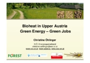 Il riscaldamento a biomassa nell