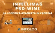 INTELLIMAG PRO-WINE: la soluzione WMS per la logistica di magazzino del settore vitivinicola