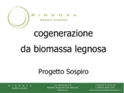 La centrale di trigenerazione a biomassa di Sospiro: come nasce un progetto di filiera