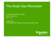 The Shale Gas Revolution