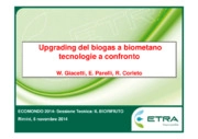 Biogas, Biometano, Consumi energetici, Energia elettrica, Gas naturale, Metano, Tecnologie di upgrading