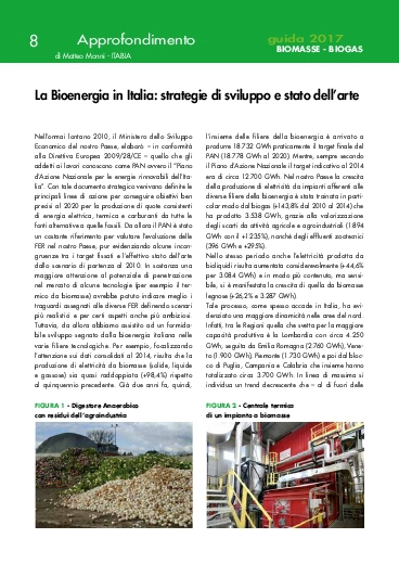 La Bioenergia in Italia: strategie di sviluppo e stato dell’arte