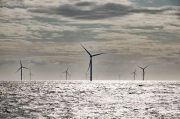 Ørsted, falck renewables, bluefloat energy e scottish association for marine science