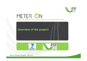 Accelerating the learning curve for smart metering technologies and infrastructures