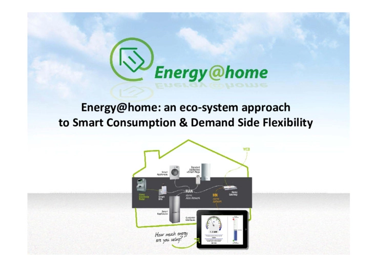 An eco‐system approach to smart consumption & demand side flexibility
