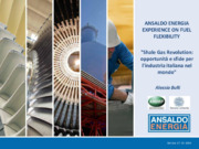 Ansaldo Energia experience on fuel flexibility