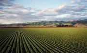 Approvato il decreto agricoltura, stop al fotovoltaico a terra