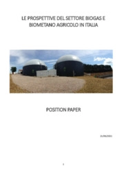 Biogas e biometano agricolo, Consorzio Italiano Biogas, Consorzio