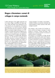 Biogas e biometano: scenari di sviluppo in campo nazionale