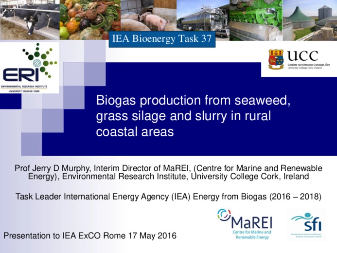 Biogas production from seaweed, grass silage and slurry in rural