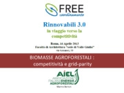 Biomasse agroforestali: competitività e grid-parity