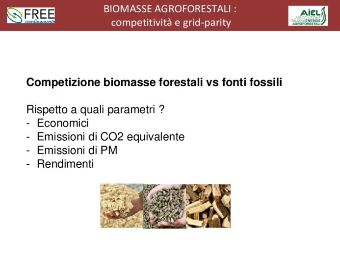 Biomasse agroforestali: competitività e grid-parity