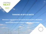 Biomasse e aggregazione di impianti di generazione distribuita: opportunità presenti e future nei mercati dell’energi