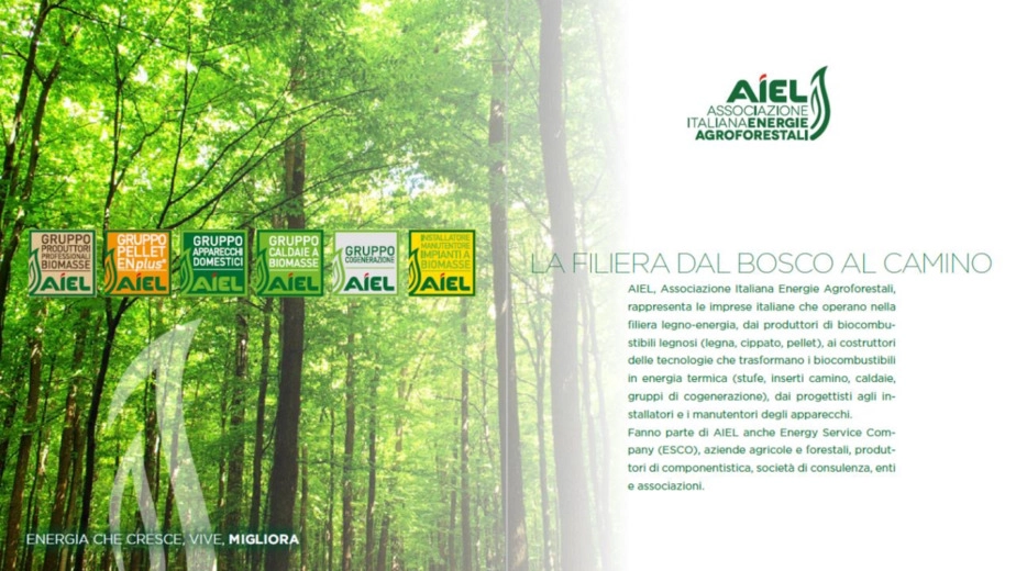 Biomasse e decarbonizzazione: la filiera agroforestale è protagonista della riconversione green