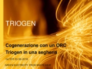 Cogenerazione con un ORC Triogen in una segheria