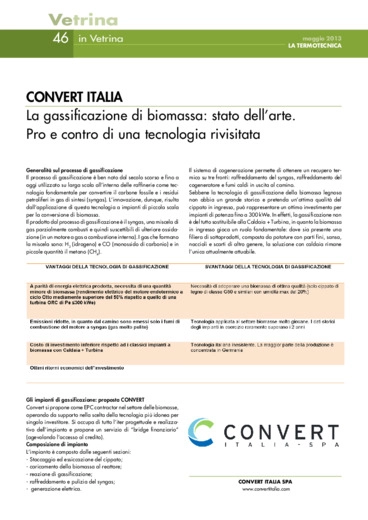 CONVERT ITALIA La gassificazione di biomassa: stato dell'arte. Pro e contro di una tecnologia rivisitata
