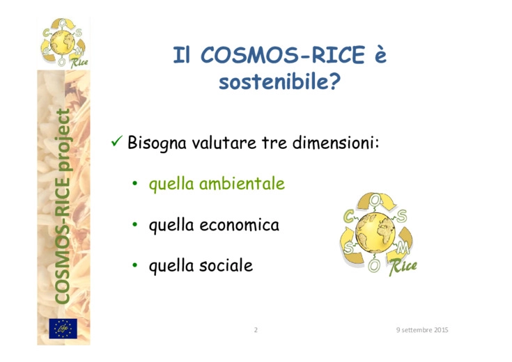 Cosmos - Rice e life cycle assesment