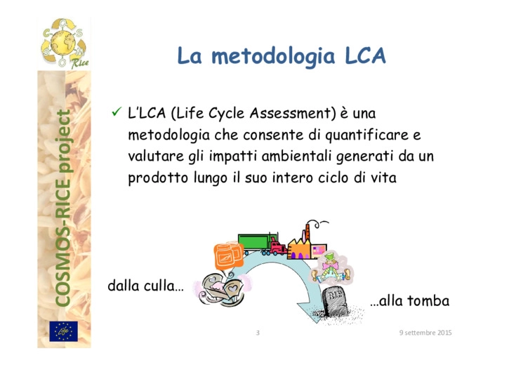 Cosmos - Rice e life cycle assesment
