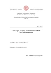 Cross layer analysis of interference effects in wireless systems