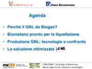 Dal biogas al bioGNL: l’evoluzione tecnologica che ha condotto ad