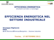 Efficienza energetica nel settore industriale 