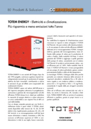 Totem Energy