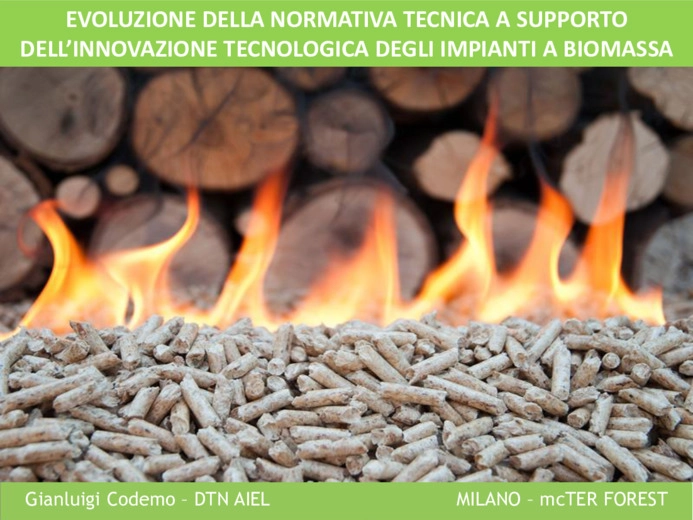 Evoluzione della normativa tecnica a supporto dell’innovazione tecnologica degli impianti a biomassa