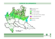 Filiera bosco-legno-energia in Lombardia
