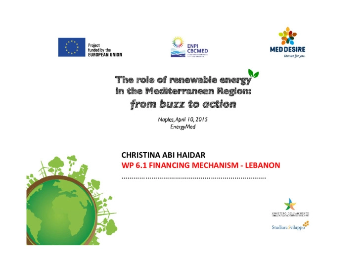 Financial mechanisms for the Renewable Energies promotion: the southern countries perspective