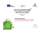 Financial mechanisms for the Renewable Energies promotion: the southern countries