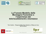 Foresta modello: l’esperienza dei teleriscaldamenti a biomassa delle montagne fiorentine