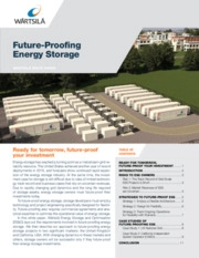 Future-Proofing Energy Storage White Paper