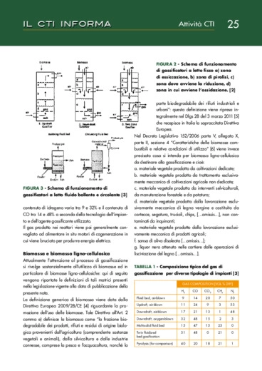 Gassificazione di Biomassa e Raccomandazione 13 CTI. Stato dellArte
