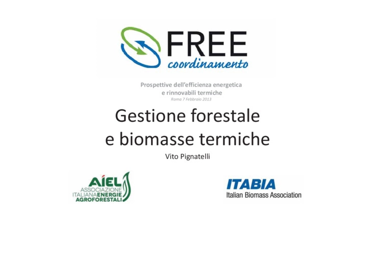 Gestione forestale e biomasse termiche