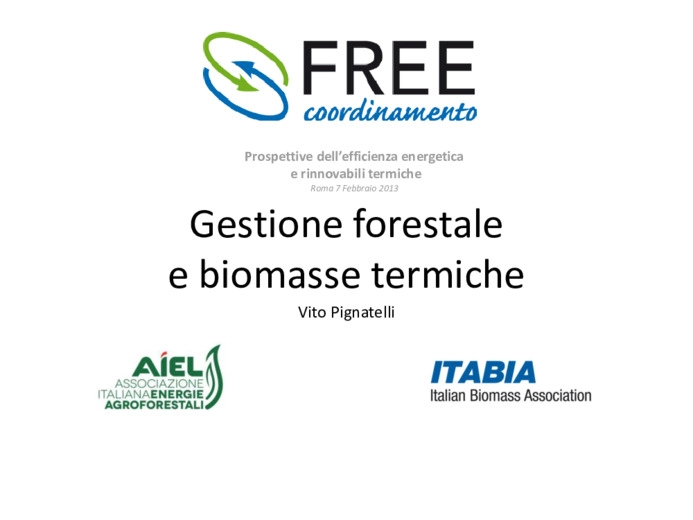 Gestione forestale e biomasse termiche