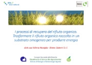 Biogas, Biomasse, Energia, Rifiuti organici