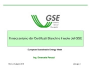 Certificati bianchi, Distributori, Efficienza energetica, GSE , TEE