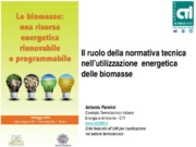 Il ruolo della normativa tecnicanell’utilizzazione energetica delle biomasse