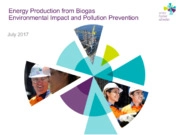 Impatto ambientale degli impianti alimentati a biogas / sistemi di trattamento delle emissioni
