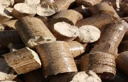 Impianti a biomassa: ecco i nuovi requisiti per gli incentivi
