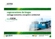 Biogas, Cogenerazione, Zootecnia