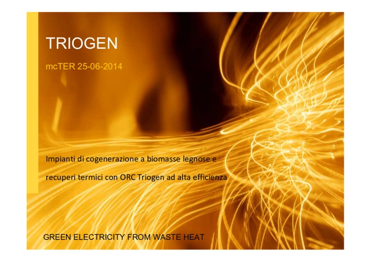 Impianti di Cogenerazione a Biomasse Legnose e recuperi termici con ORC Triogen ad alta efficienza