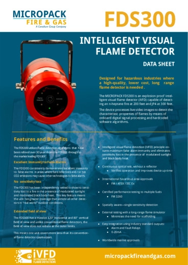 Intelligent Visual Flame Detector