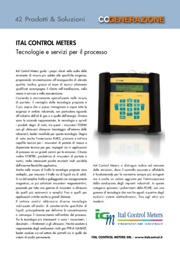 ITAL CONTROL METERS. Tecnologie e servizi per il processo