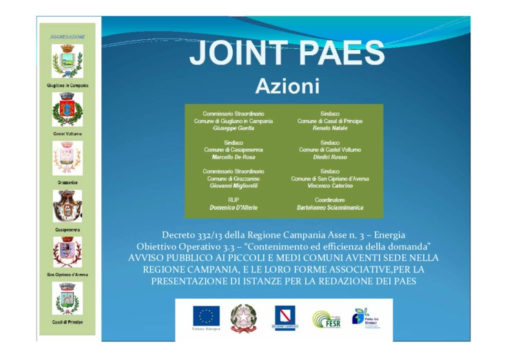 Joint PAES