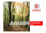 KCO Cogeneration & Bioenergie - Energia Elettrica & Calore derivati