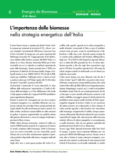 Limportanza delle biomasse nella strategia energetica dellItalia