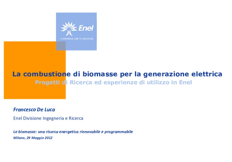 La combustione di biomasse per la generazione elettrica
